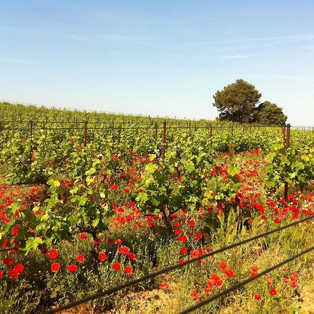 Maison De Margot Peyriac-Minervois المظهر الخارجي الصورة