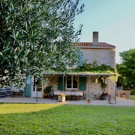 Maison De Margot Peyriac-Minervois المظهر الخارجي الصورة
