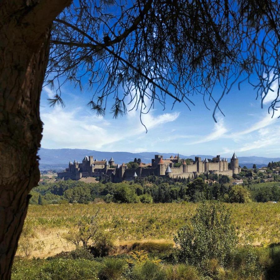 Maison De Margot Peyriac-Minervois المظهر الخارجي الصورة