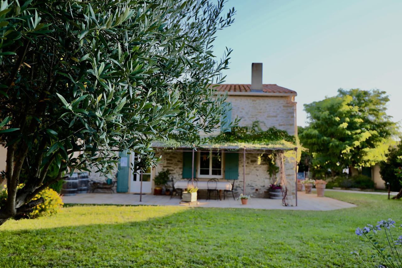 Maison De Margot Peyriac-Minervois المظهر الخارجي الصورة