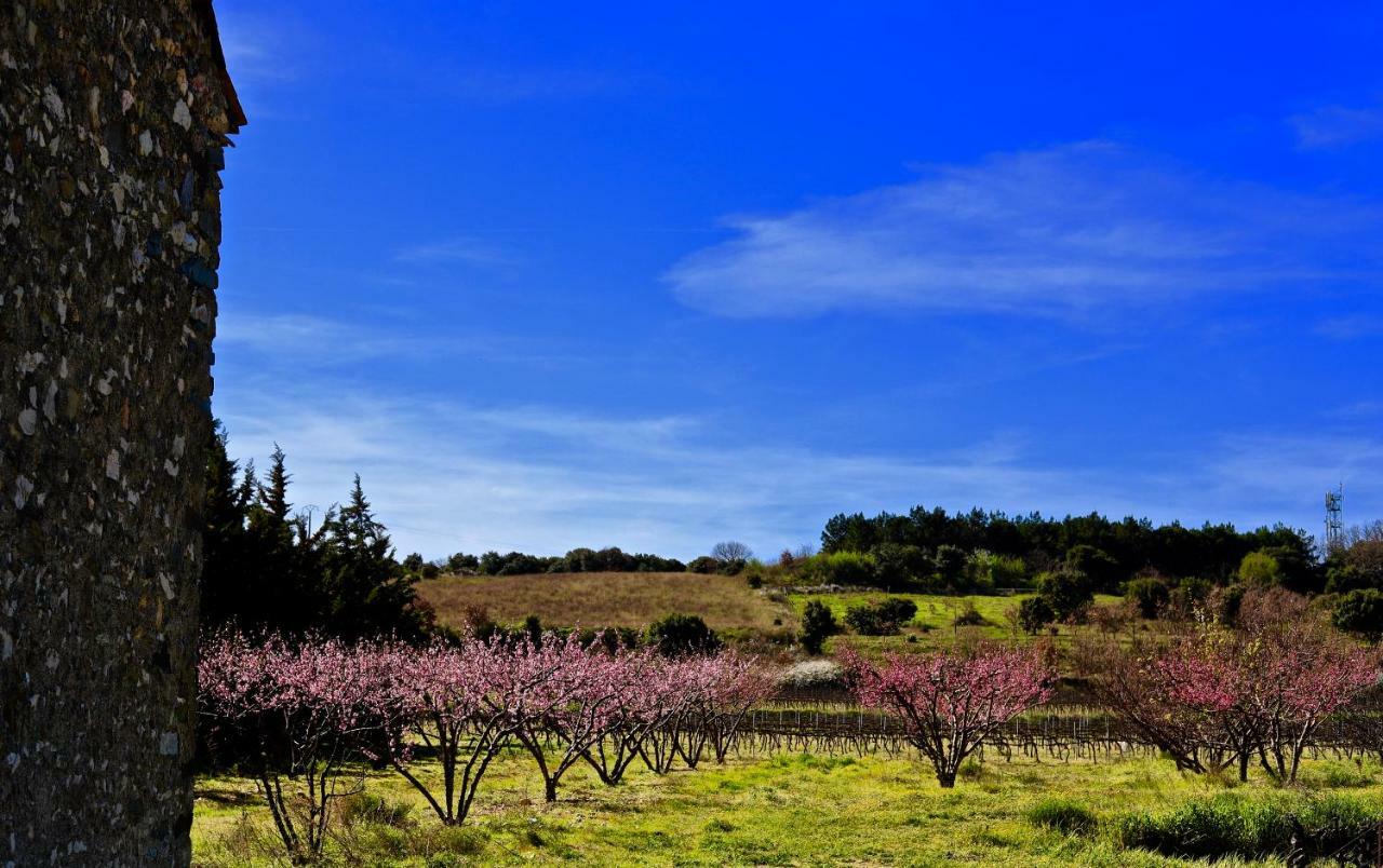 Maison De Margot Peyriac-Minervois المظهر الخارجي الصورة