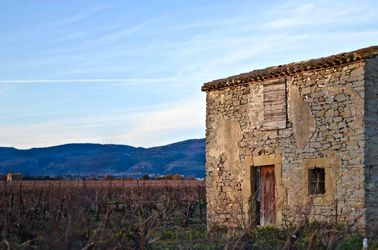 Maison De Margot Peyriac-Minervois المظهر الخارجي الصورة